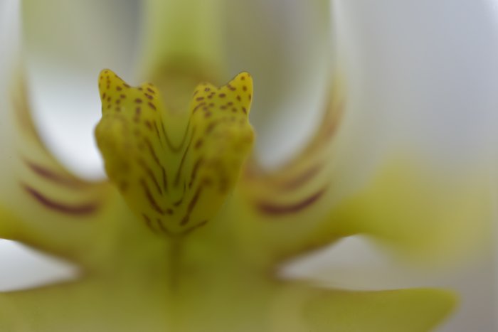 _DSC0034