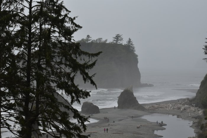 DSC_0009