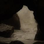 DSC_0202 (2)