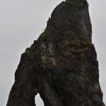 DSC_0238