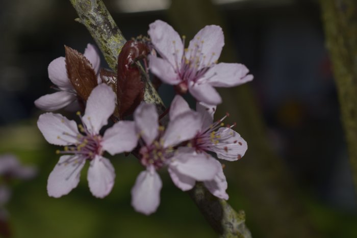 _DSC0060