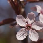_DSC0093